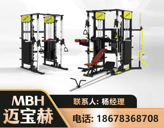 马鞍山多功能综合训练器