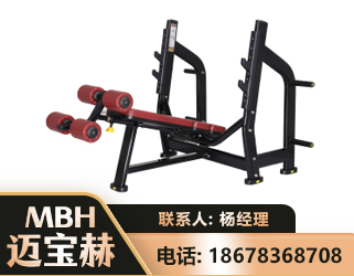 马鞍山豪华下斜卧推架