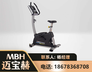 马鞍山立式健身车